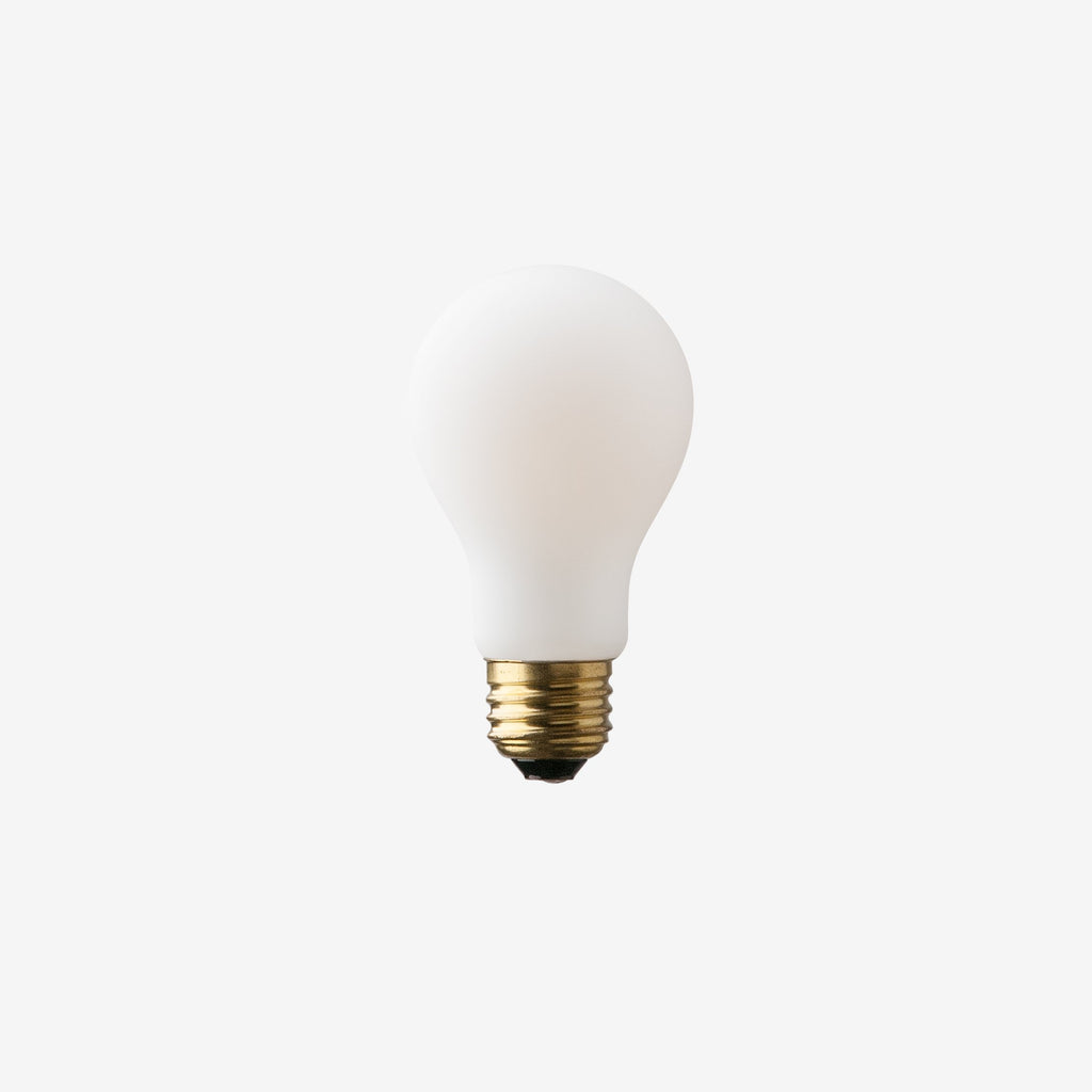 A19 Matte Porcelain LED Bulb