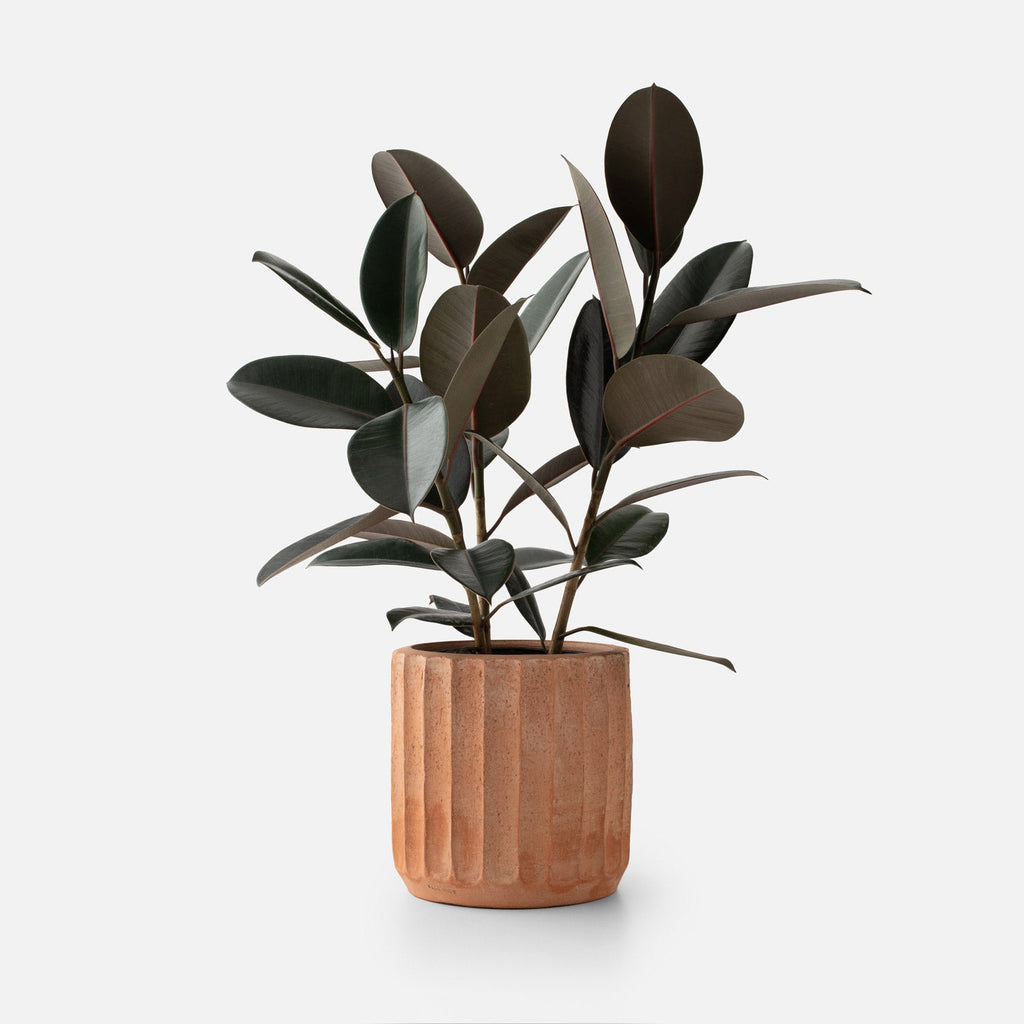 Fluted Planter:Hover