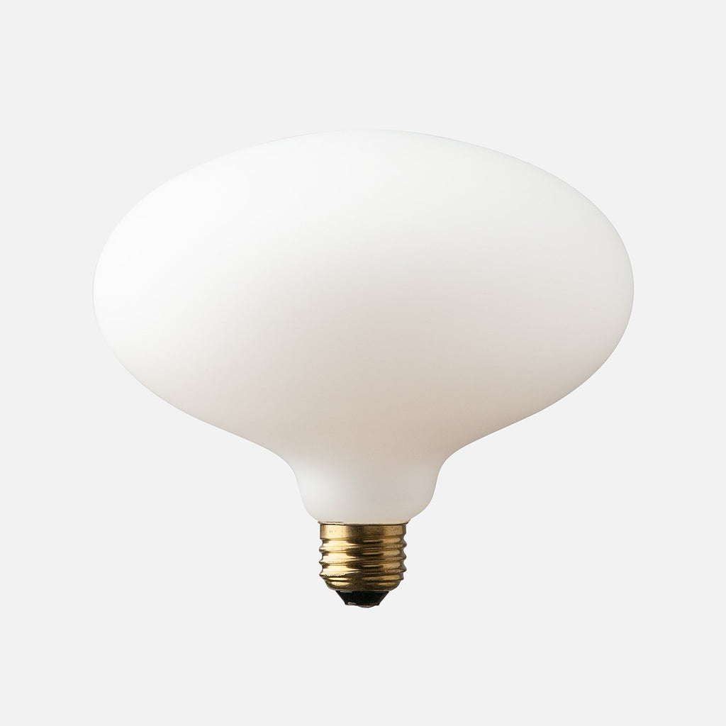 Oval Matte Porcelain LED Bulb